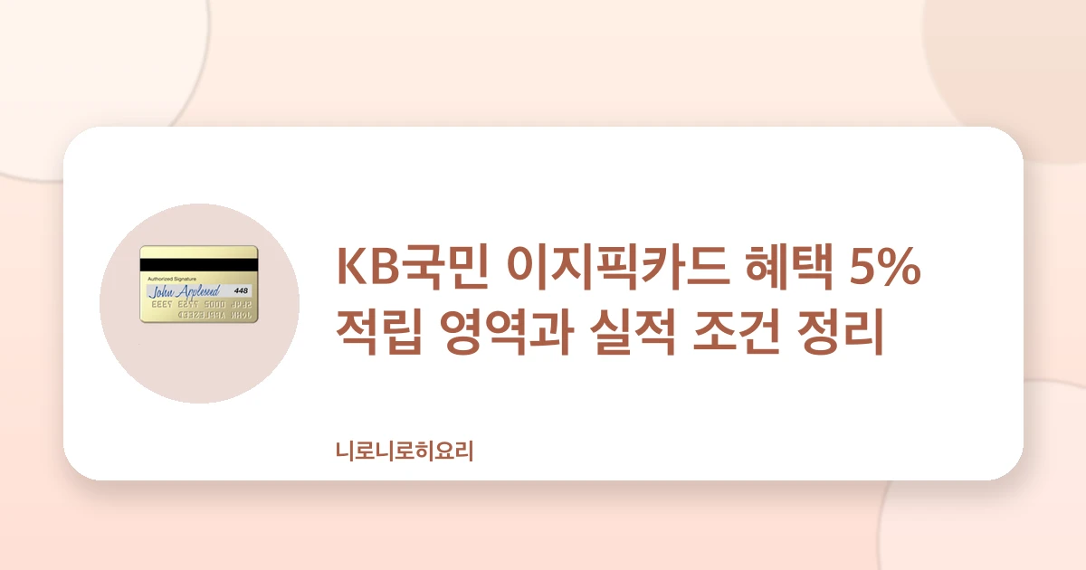KB국민 이지픽카드